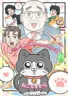 Neko ni Tensei shita Ojisan Episode 9